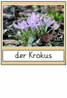 Vorschau - Spiele - Frühblüher: Bildkarten (Tafelmaterial) + Domino zum Basteln - Seite 3