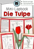 Vorschau - Arbeitsblätter - Mini-Lapbook Tulpe | Frühblüher | Bastelvorlage - Deckblatt