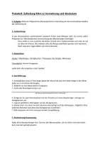 Vorschau - Arbeitsblätter - Experiment zur Visualisierung der Mitosestadien unter dem Mikroskop - Deckblatt