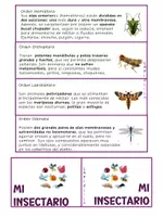 Vista previa - Hojas de trabajo - LOS INSECTOS - página 3