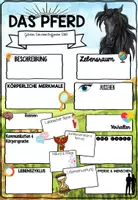 Vorschau - Arbeitsblätter - Pferd Steckbrief | Haustiere - Säugetiere Projekt - Seite 3