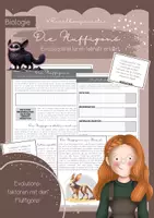Vorschau - Arbeitsblätter - Die Fluffigons - Evolutionsfaktoren lebendig gemacht! - Deckblatt