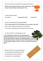 Vorschau - Arbeitsblätter - Quiz zum Wald-Check (Reportage) - mit Lösung - Seite 3