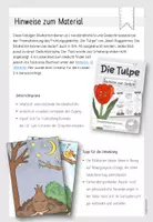 Vorschau - Bildkarten - Die Tulpe | Bildkarten zum Gedicht | Josef Guggenmos - Seite 1