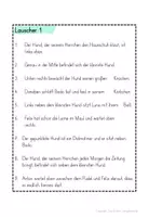 Vorschau - Arbeitsblätter - Zwei Hunde Lauscher auditive Wahrnehmung Hörverstehen - Seite 2