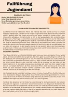Vorschau - Stundenentwürfe - Simulation/ Rollenspiel eines Hilfeplangesprächs - Seite 3