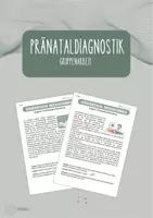 Vorschau - Arbeitsblätter - Gruppenarbeit Pränataldiagnostik mit Mindmap - Deckblatt