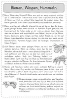 Vorschau - Arbeitsblätter - Leseübungen zum sinnentnehmenden Lesen: Bienen, Wespen, Hummeln - Seite 1