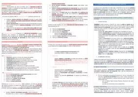 Vista previa - Para docentes: organización, planificación y formación - Oposiciones Pedagogía Terapéutica: Esquema tema 15 - página 2