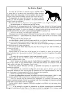 Aperçu - Feuilles d'exercices - Compréhension de Texte - La licorne du pré - Page de couverture