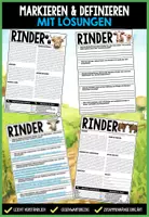 Vorschau - Unterrichtsreihen - SÄUGETIERE LERNWERKSTATT BUNDLE - Flipbooks, Infotexte, Arbeitsblätter, Poster-Projekte, Steckbriefe - Hund, Katze, Pferd, Rind + Schwein - Seite 2