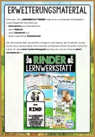 Vorschau - Unterrichtsreihen - Sparpaket Haustiere Nutztiere Flipbook Bundle - Hund - Katze - Pferd - Rind - Schwein - Seite 3