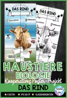 Vorschau - Stationenlernen - Das Rind - Die Kuh - Poster | Nutztiere - Säugetiere | Kooperative Klassendekoration - Deckblatt