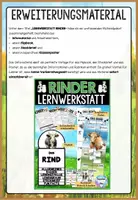Vorschau - Stationenlernen - Das Rind - Die Kuh - Poster | Nutztiere - Säugetiere | Kooperative Klassendekoration - Seite 3