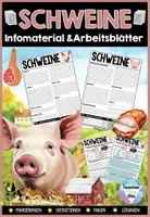 Vorschau - Arbeitsblätter - Schwein Infomaterial & Arbeitsblätter | Nutztiere bzw. Säugetiere 2-seitige Textpassage mit Markierungen - Deckblatt