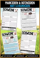 Vorschau - Arbeitsblätter - Schwein Infomaterial & Arbeitsblätter | Nutztiere bzw. Säugetiere 2-seitige Textpassage mit Markierungen - Seite 1