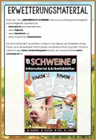 Vorschau - Arbeitsblätter - Schwein Infomaterial & Arbeitsblätter | Nutztiere bzw. Säugetiere 2-seitige Textpassage mit Markierungen - Seite 3