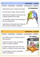 Vorschau - Arbeitsblätter - Wendediktate - Haustiere - Seite 3