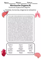 Vorschau - Arbeitsblätter - Wortsuche Organe - Biologie unterricht - Deckblatt
