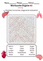 Vorschau - Arbeitsblätter - Wortsuche Organe - Biologie unterricht - Seite 1