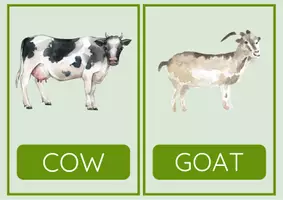 Vorschau - Bildkarten - Flashcards Farm - English - Seite 3