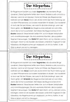 Vorschau - Arbeitsblätter - Regenwurm - Arbeitsheft - Seite 2