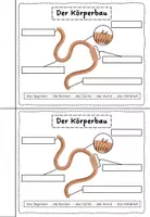 Vorschau - Arbeitsblätter - Regenwurm - Arbeitsheft - Seite 3