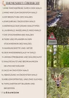 Vorschau - Unterrichtsreihen - Ökosystem Wald Unterrichtsmaterial Biologie Klasse 5–7 – Arbeitsblätter, Stockwerke des Waldes, Tiere Pflanzen, Nahrungsketten, Waldschutz differenziert mit Lösungen - Seite 1