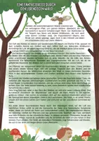 Vorschau - Unterrichtsreihen - Ökosystem Wald Unterrichtsmaterial Biologie Klasse 5–7 – Arbeitsblätter, Stockwerke des Waldes, Tiere Pflanzen, Nahrungsketten, Waldschutz differenziert mit Lösungen - Seite 2