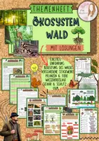 Vorschau - Unterrichtsreihen - Ökosystem Wald Unterrichtsmaterial Biologie Klasse 5–7 – Arbeitsblätter, Stockwerke des Waldes, Tiere Pflanzen, Nahrungsketten, Waldschutz differenziert mit Lösungen - Deckblatt
