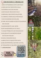 Vorschau - Unterrichtsreihen - XL Materialpaket verschiede Ökosysteme Wald, See und Meer mit Lösung (Klasse 6/7/8/9) - Seite 1