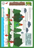 Vorschau - Arbeitsblätter - Ökosystem Wald - Wasserkreislauf differenziert mit Lösung (Klasse 5/6/7) - Seite 2