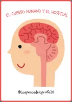 Vista previa - Unidades / Secuencias / Situaciones de Aprendizaje - Tarjetas para observar: el cuerpo y el hospital. - Portada
