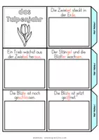Vorschau - Mal- und Bastelvorlagen - Leporello Tulpenjahr | Bastelvorlage - Seite 3