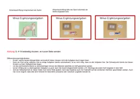 Vorschau - Fördermaterial/Inklusion - Aufgabenkarten: Minus-Ergänzungsaufgaben im Zahlenraum bis 10 - Seite 2