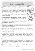 Vorschau - Arbeitsblätter - Leseübungen zum sinnentnehmenden Lesen: Der Feldhamster - Seite 1
