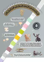Vorschau - Poster - One Minute Wonder zum Urinalkondom - Seite 1