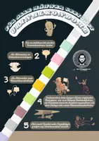 Vorschau - Poster - One Minute Wonder zum Urinalkondom - Seite 2