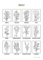 Vorschau - Mal- und Bastelvorlagen - Frühblüher 🌼🪻- Ausmalen & kreativ gestalten | 24 Vorlagen zum ausmalen 🎨🖍️ - Seite 1