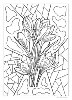Vorschau - Mal- und Bastelvorlagen - Frühblüher 🌼🪻- Ausmalen & kreativ gestalten | 24 Vorlagen zum ausmalen 🎨🖍️ - Seite 3