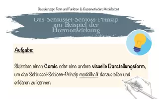 Vorschau - Arbeitsblätter - Schlüssel-Schloss-Modell am Beispiel der Hormone mit Beispiel-Comic - Seite 1