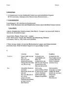Vorschau - Arbeitsblätter - Test zum Thema „Blutbestandteile und Blutkreislauf“ - Seite 2