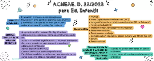 Vista previa - Para docentes: organización, planificación y formación - Clasificación ACNEAE y pautas para aula - Portada