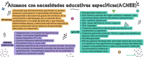 Vista previa - Para docentes: organización, planificación y formación - Clasificación ACNEAE y pautas para aula - página 1