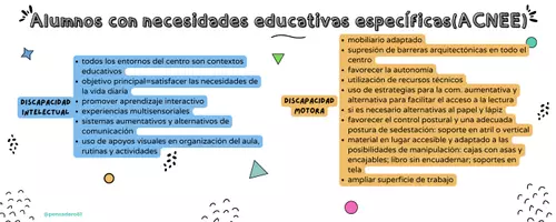 Vista previa - Para docentes: organización, planificación y formación - Clasificación ACNEAE y pautas para aula - página 2