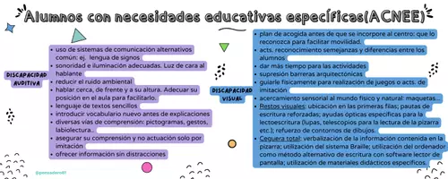 Vista previa - Para docentes: organización, planificación y formación - Clasificación ACNEAE y pautas para aula - página 3