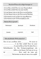 Vorschau - Anderer Materialtyp - Strom - Leseverständnis (doppelseitige Kopiervorlage) - Seite 2