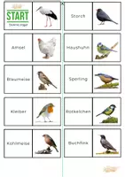 Vorschau - Spiele - Domino Vögel Biologie 5. Klasse - Seite 2
