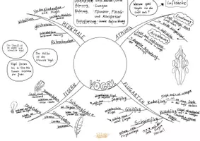 Vorschau - Merkblätter - Mindmap Vögel Merkmale Biologie 5.Klasse - Seite 3