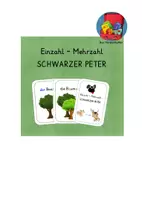 Vorschau - Spiele - Einzahl-Mehrzahl Schwarzer Peter - Deckblatt